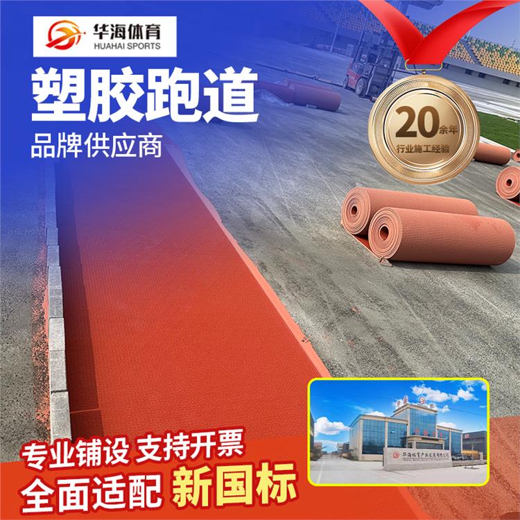 台州市半预制跑道半预制橡胶跑道 - 厂家